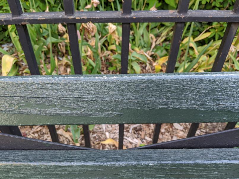 I saw this bench in Central Park