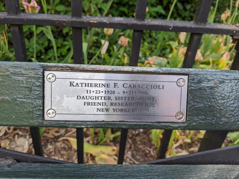 I saw this bench in Central Park