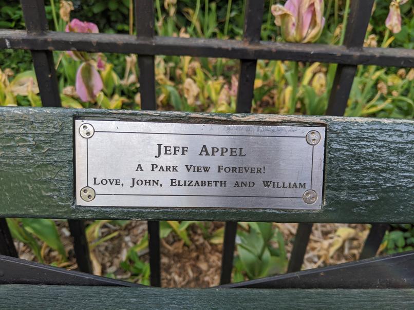 I saw this bench in Central Park