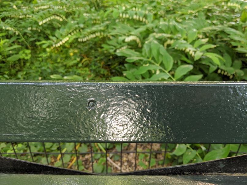 I saw this bench in Central Park