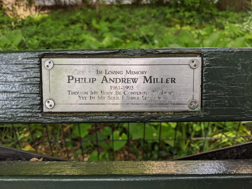 I saw this bench in Central Park