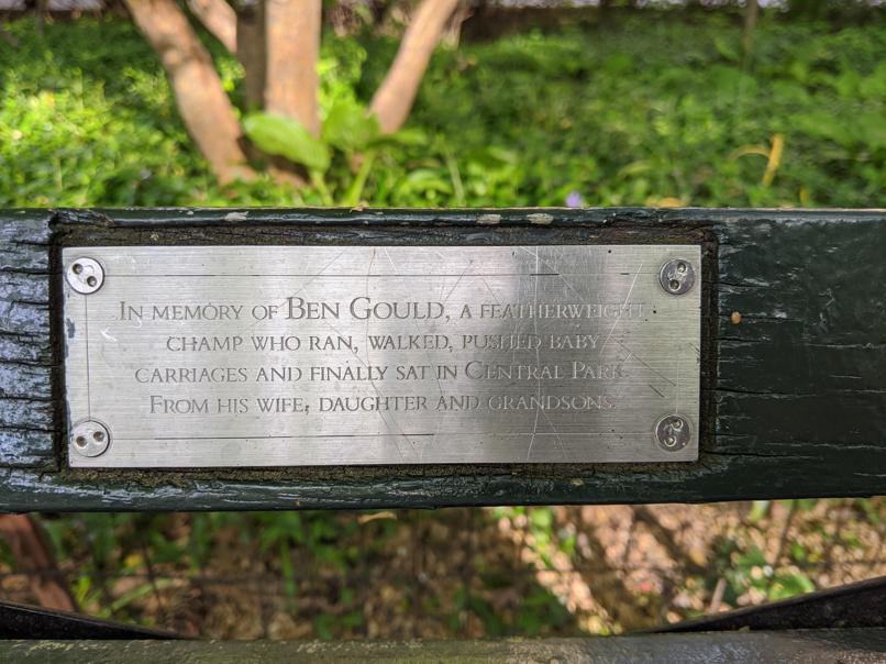 I saw this bench in Central Park