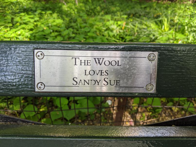 I saw this bench in Central Park