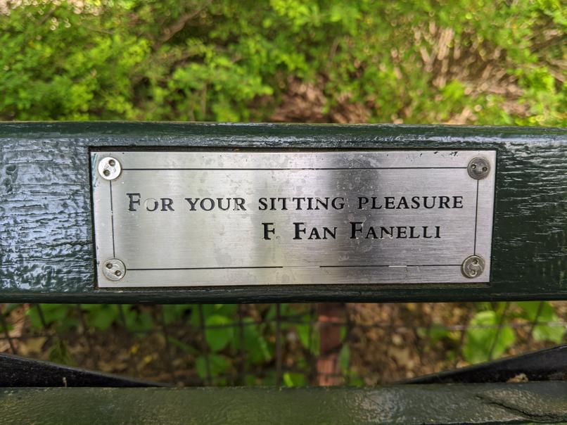 I saw this bench in Central Park