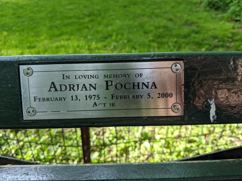 I saw this bench in Central Park