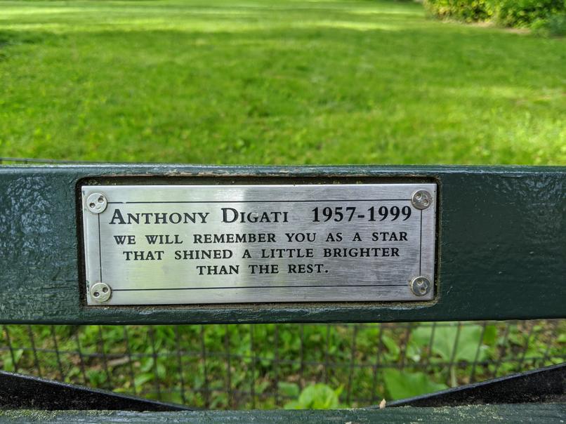 I saw this bench in Central Park