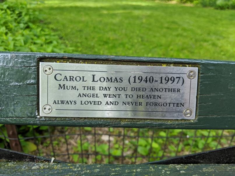 I saw this bench in Central Park