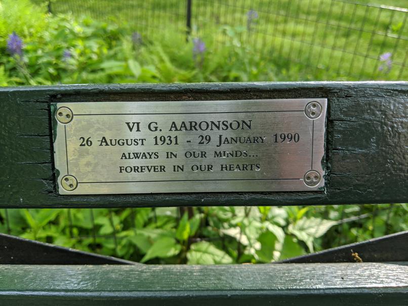 I saw this bench in Central Park