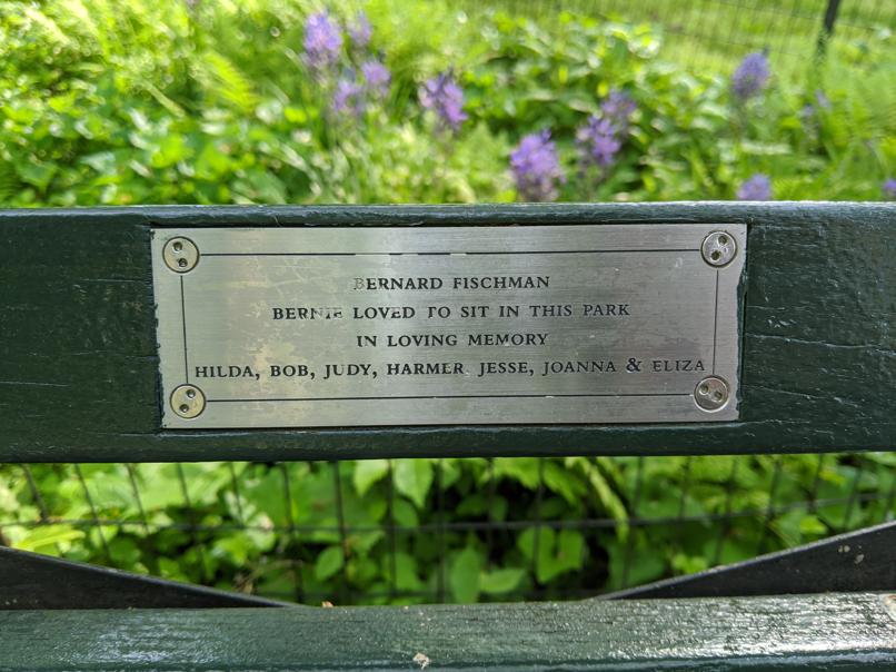 I saw this bench in Central Park