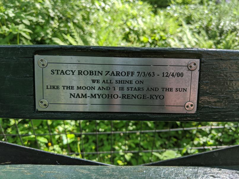 I saw this bench in Central Park