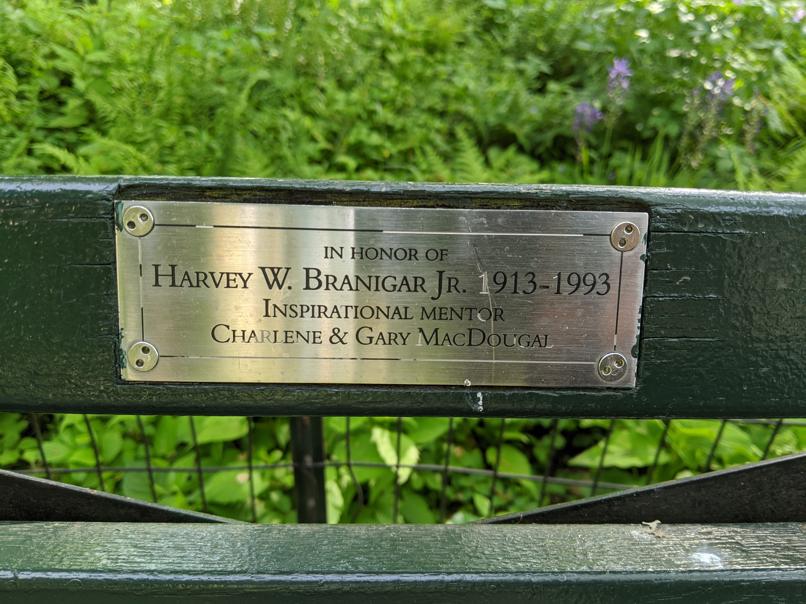 I saw this bench in Central Park