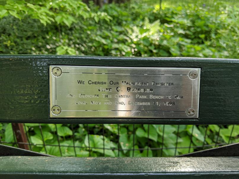 I saw this bench in Central Park