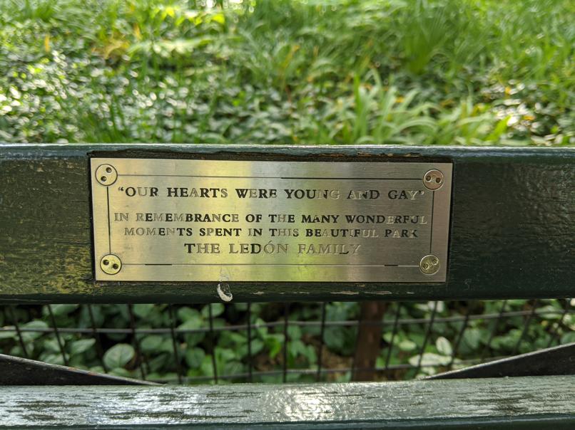 I saw this bench in Central Park