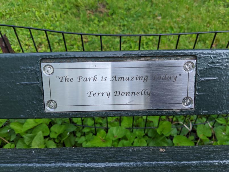 I saw this bench in Central Park