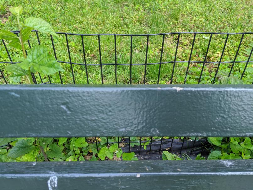 I saw this bench in Central Park