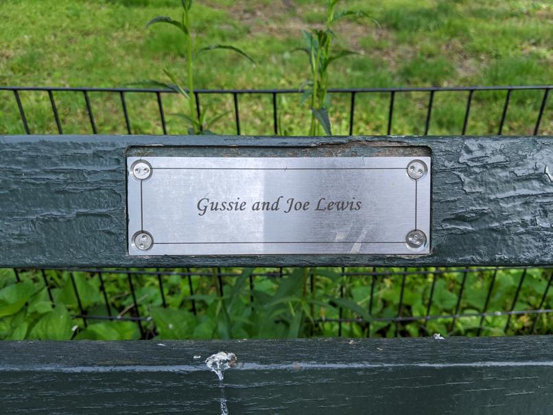 I saw this bench in Central Park