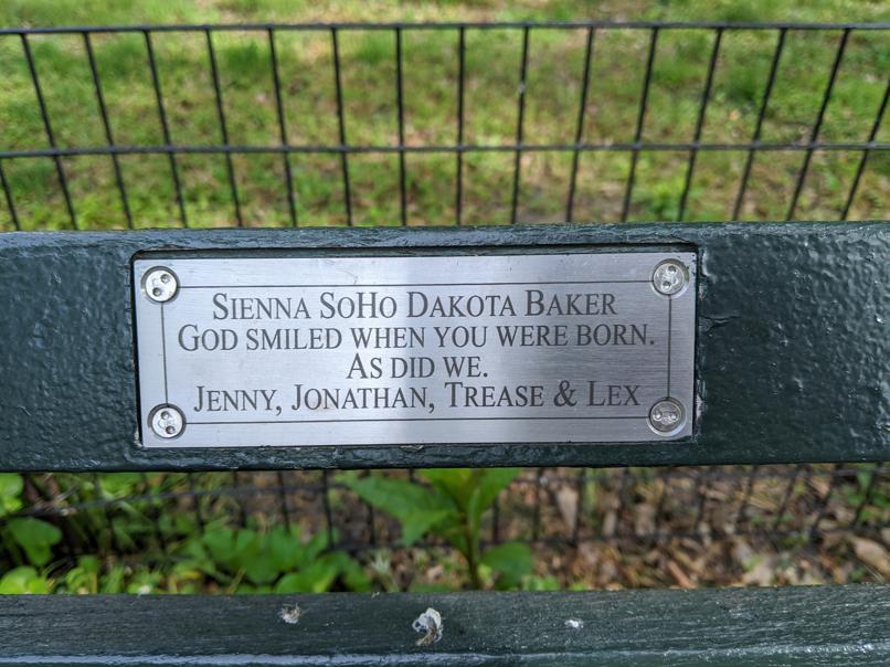 I saw this bench in Central Park