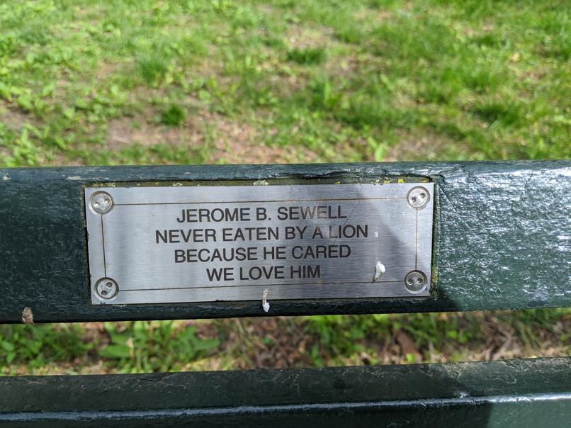 I saw this bench in Central Park