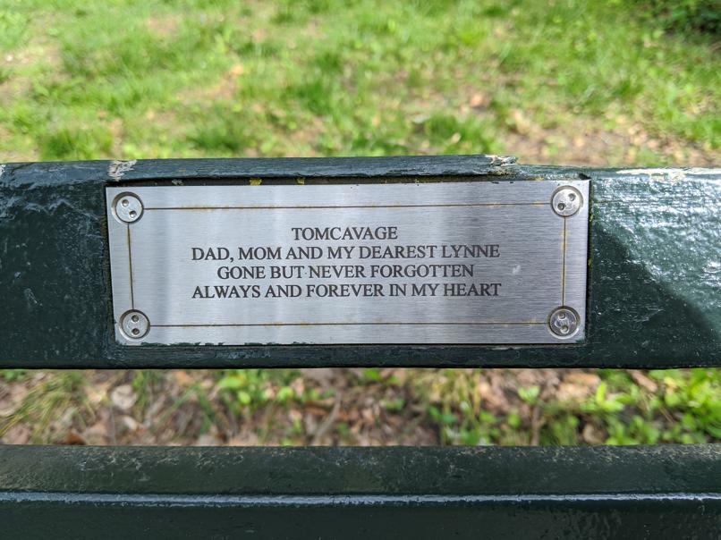 I saw this bench in Central Park