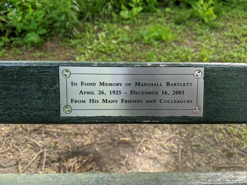 I saw this bench in Central Park