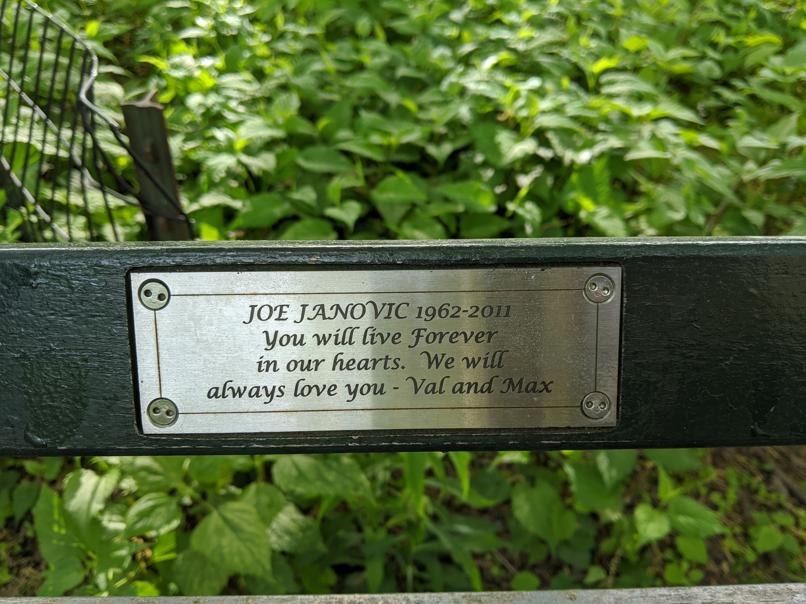 I saw this bench in Central Park