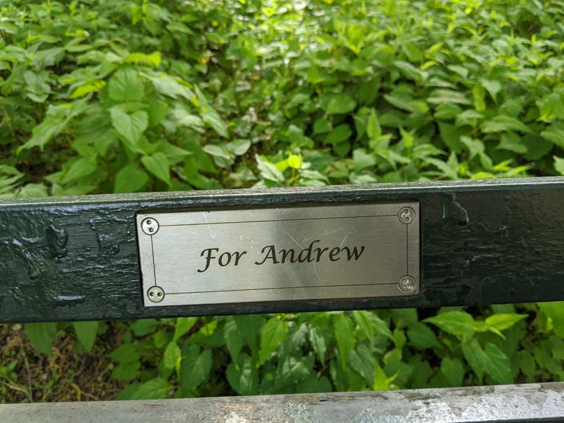 I saw this bench in Central Park