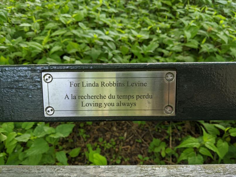 I saw this bench in Central Park