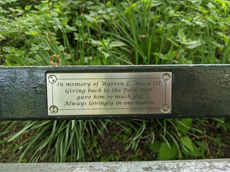 I saw this bench in Central Park