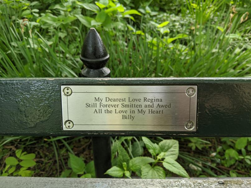 I saw this bench in Central Park