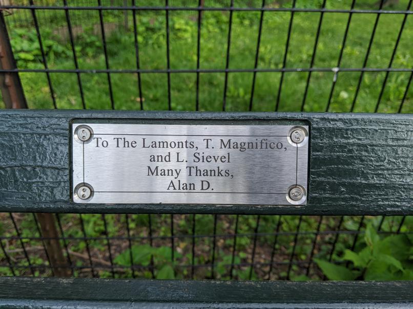 I saw this bench in Central Park