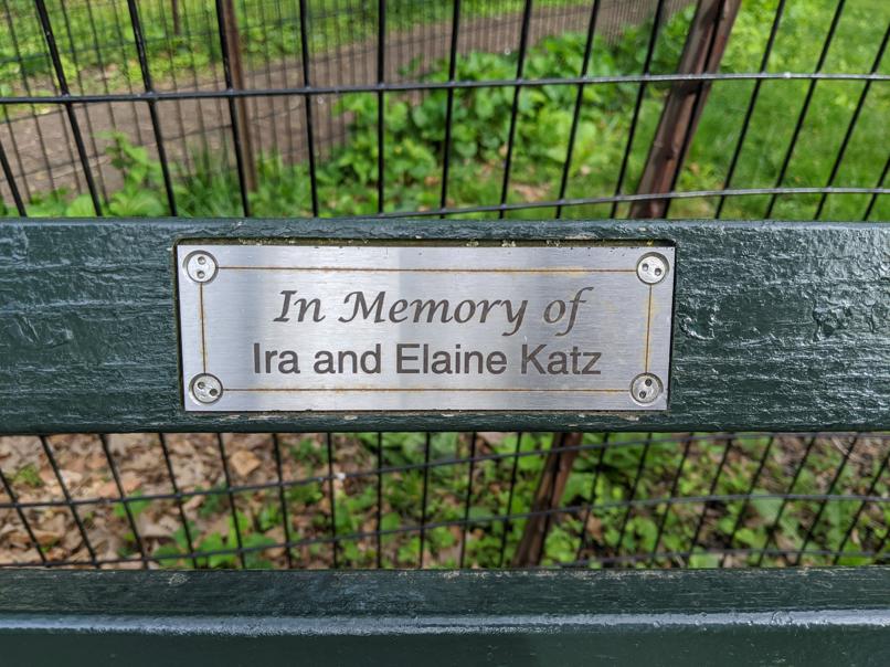 I saw this bench in Central Park