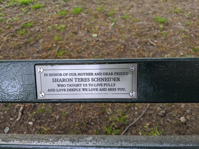 I saw this bench in Central Park