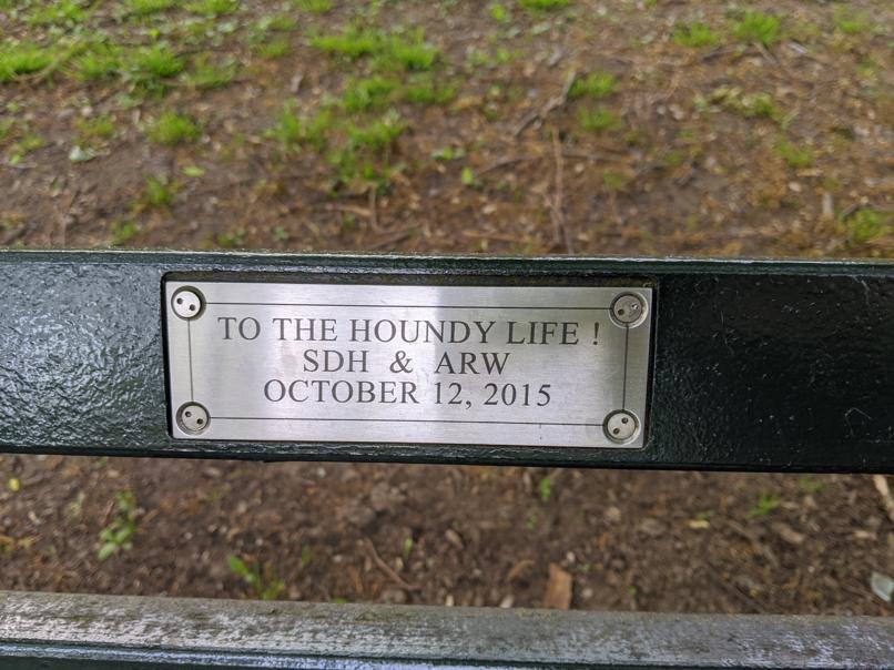 I saw this bench in Central Park