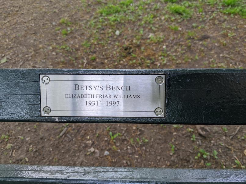 I saw this bench in Central Park