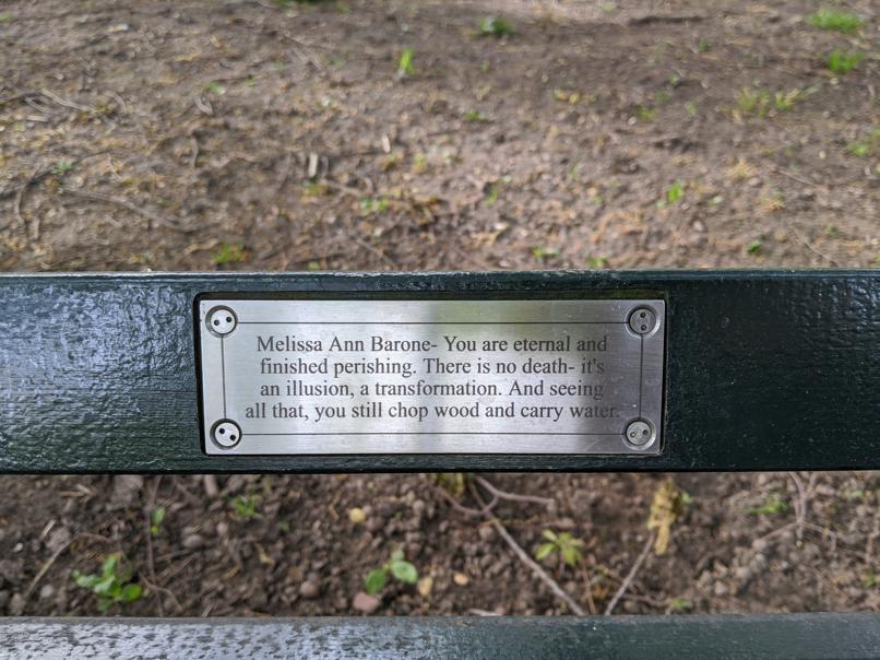 I saw this bench in Central Park