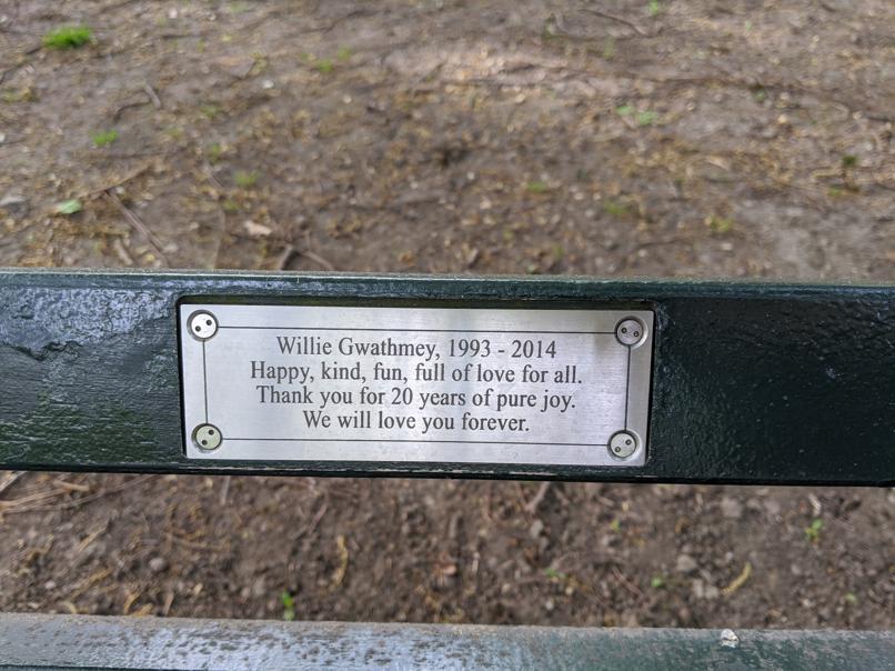 I saw this bench in Central Park