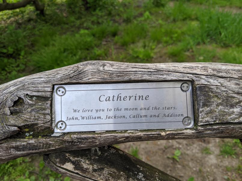 I saw this bench in Central Park