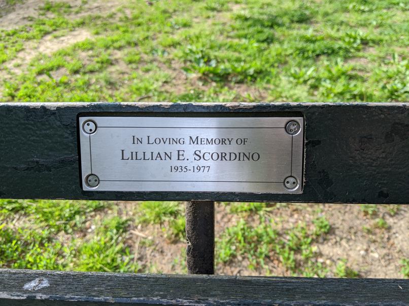 I saw this bench in Central Park