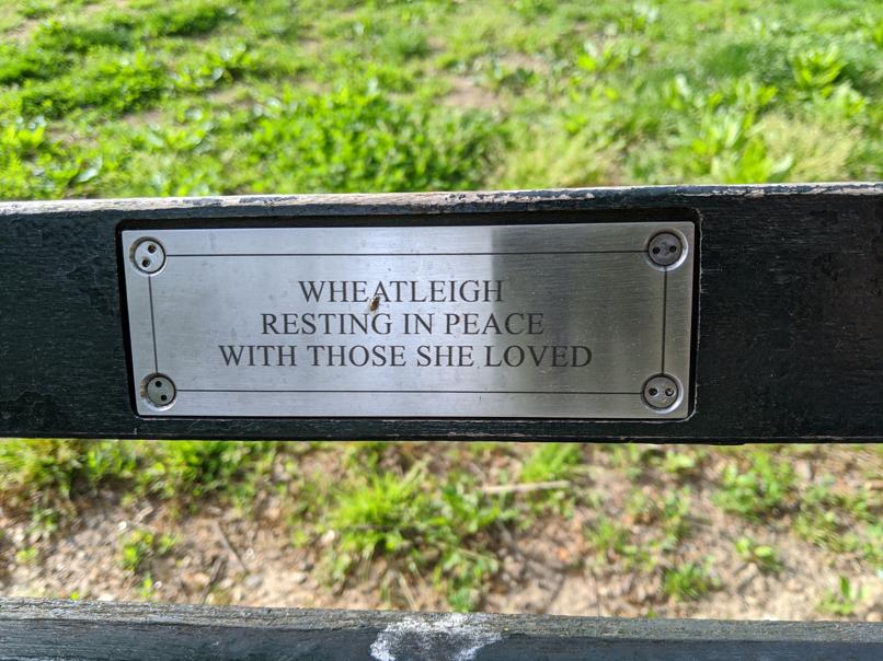 I saw this bench in Central Park