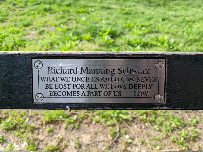 I saw this bench in Central Park