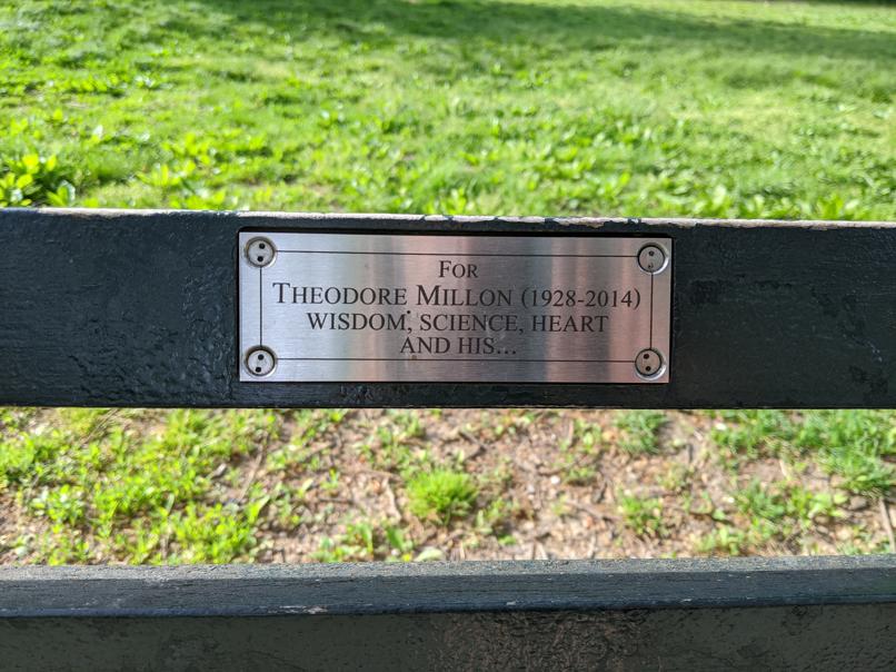 I saw this bench in Central Park