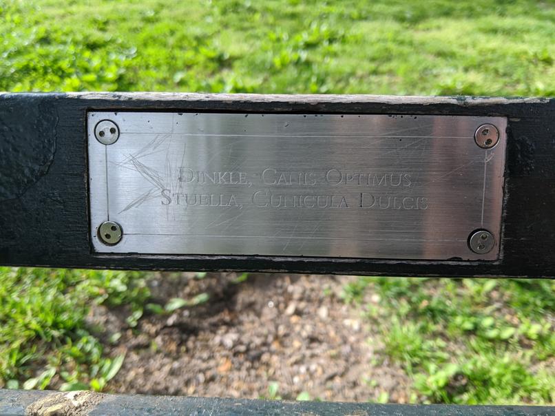 I saw this bench in Central Park