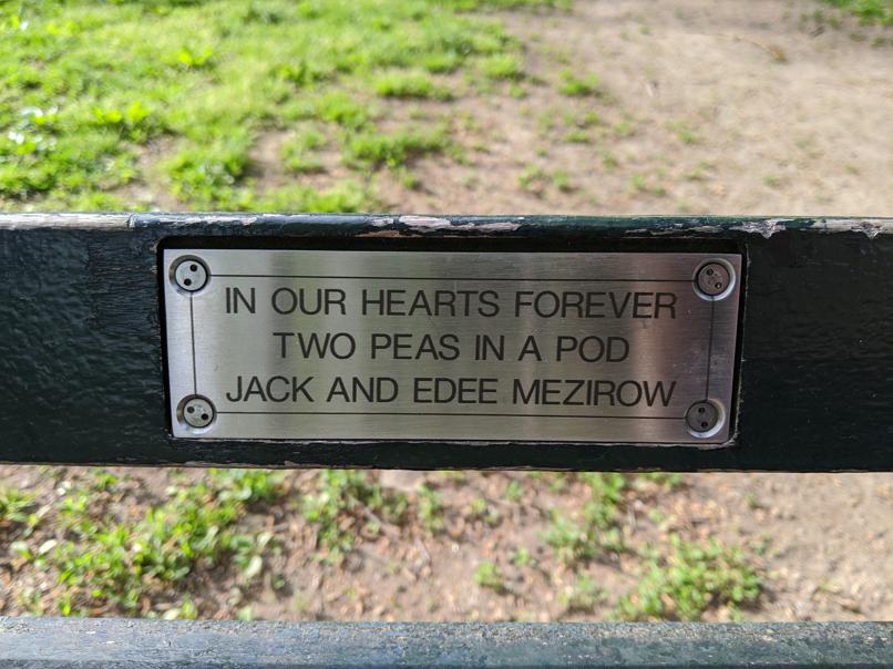 I saw this bench in Central Park