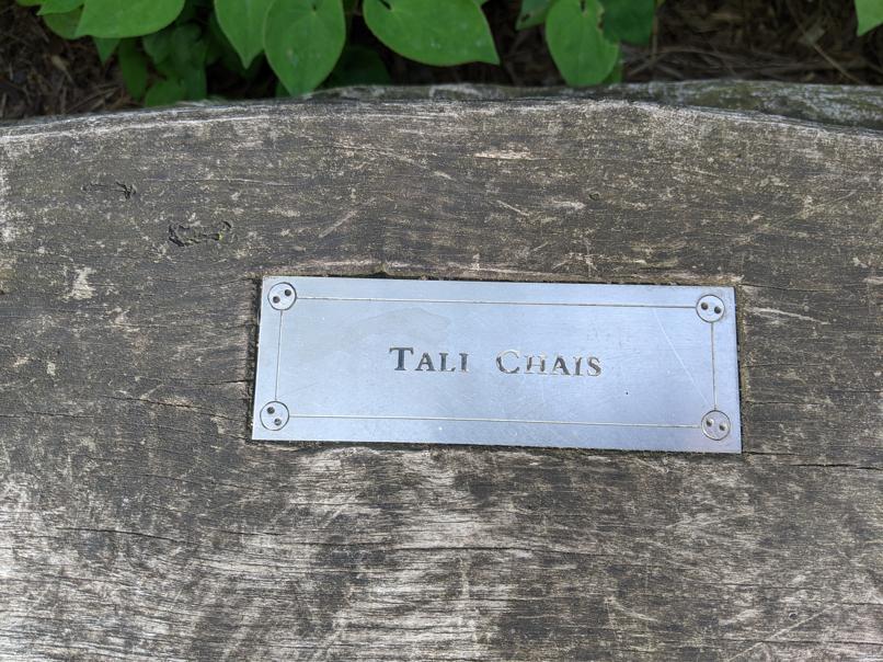 I saw this bench in Central Park