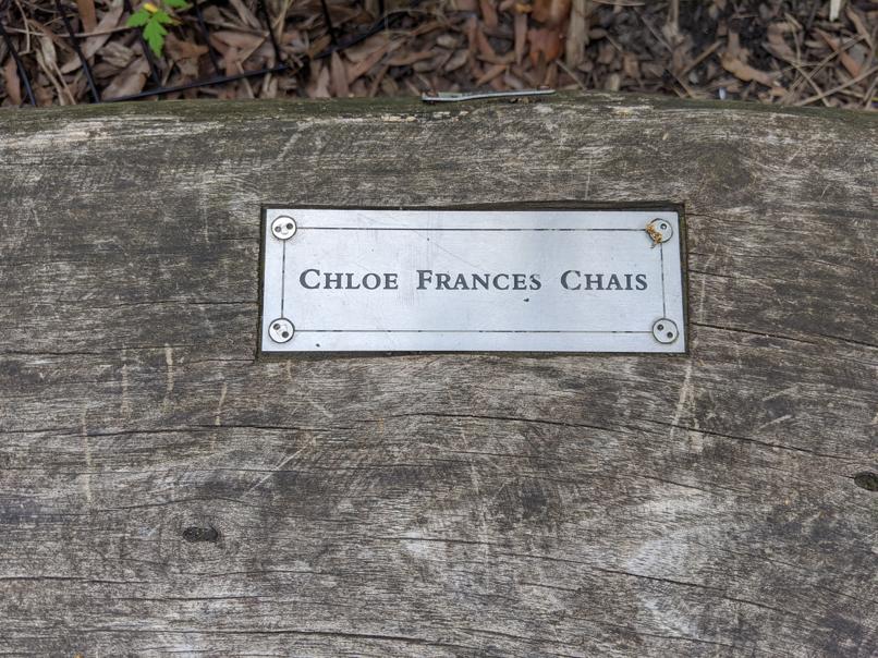 I saw this bench in Central Park