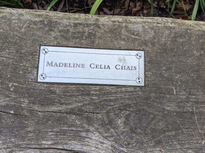 I saw this bench in Central Park