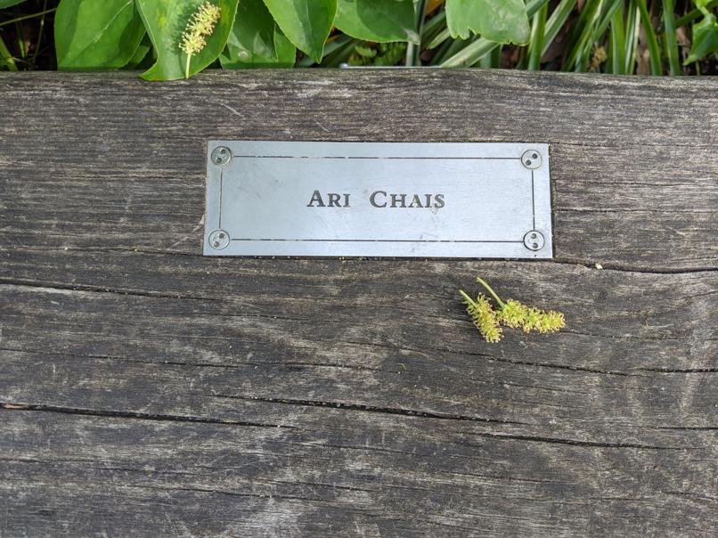 I saw this bench in Central Park