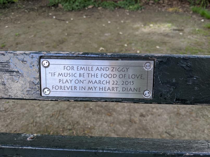 I saw this bench in Central Park