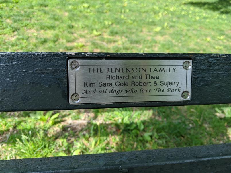 I saw this bench in Central Park