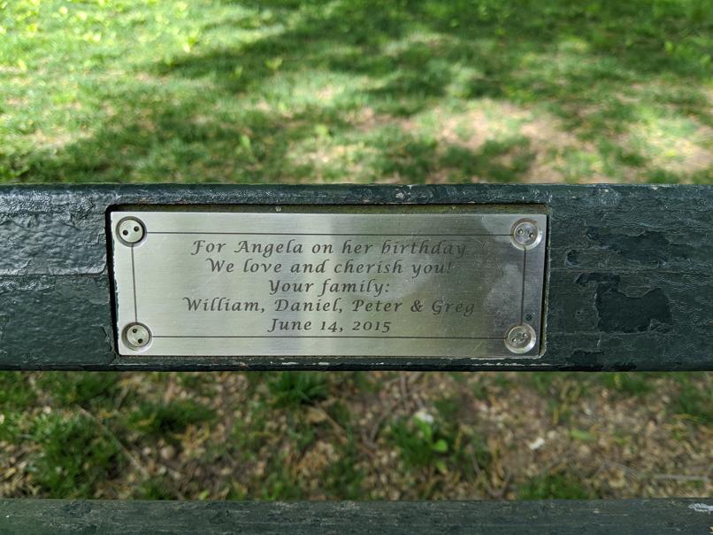 I saw this bench in Central Park